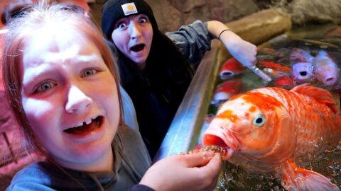 Feeding 10 CRAZY ANiMALS with ADLEY!!  Swimming inside a real Shark Aquarium with my Family, Zoo Fun
