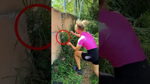 I Found an Abandoned Kitten in a Graveyard!
